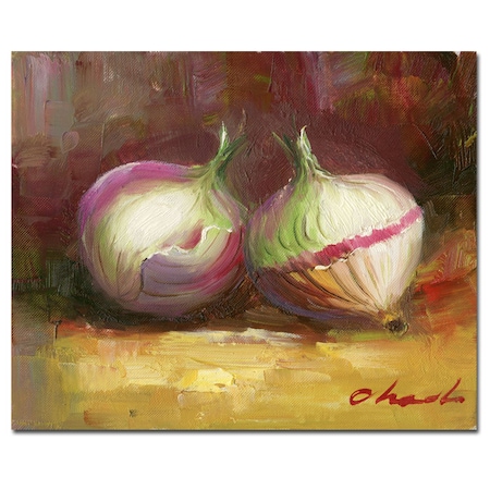 'Onion Still Life' Canvas Art,26x32